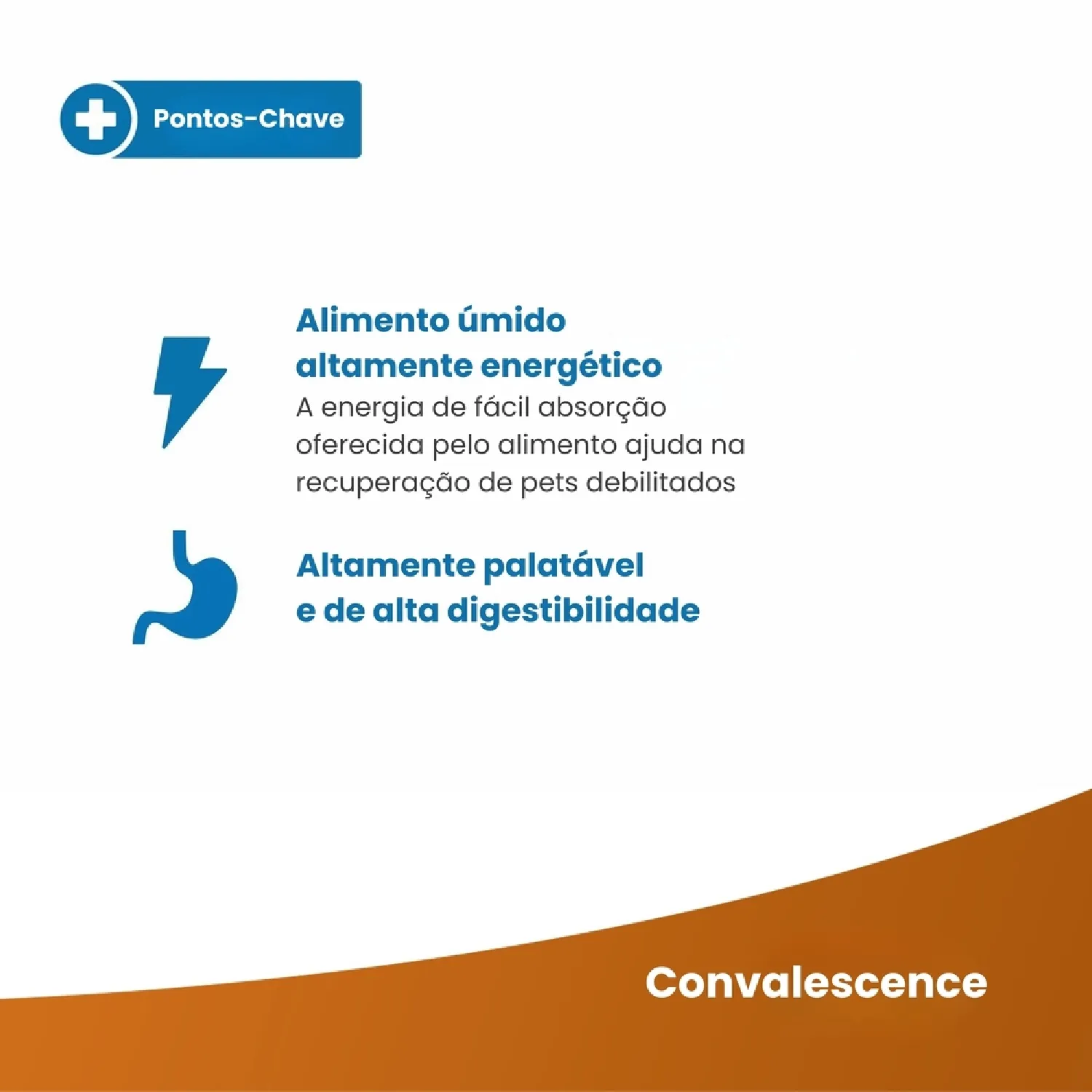 Racao Umida Para Gato Convalescenca Vet Life 3
